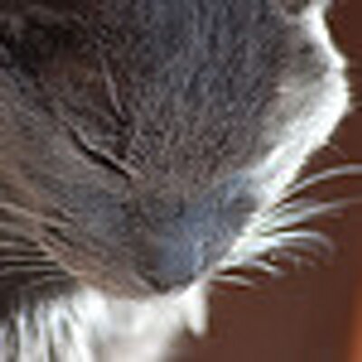 Patrick Lagan - Twitter Profile Picture of Patrick Lagan (@laganp) on Twitter