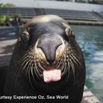 Seth - Instagram Profile Picture of Seth (@seth_beardsly) on Instagram