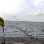 Profile Picture of Joseph Pavón (@Joseph-Pavón) on Facebook