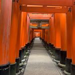 Profile Picture of Jake Pettigrew (@j8k3p) on Instagram