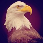 Profile Picture of Christopher (Jake) (@shadow_jake44556) on Instagram