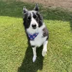 Profile Picture of Brennan Harris (@brennan.harris.678653) on Facebook