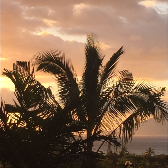 Profile Picture of Denise Edman (@homeair) on Poshmark