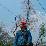 Profile Picture of Mui TTo (@mui.a.laiho) on Instagram