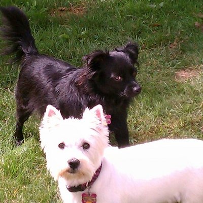 Profile Picture of Randy Moore (@SandboxRand) on Twitter
