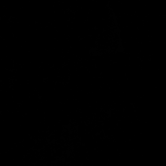 Profile Picture of Kristian Carlson (@krispiris) on Poshmark