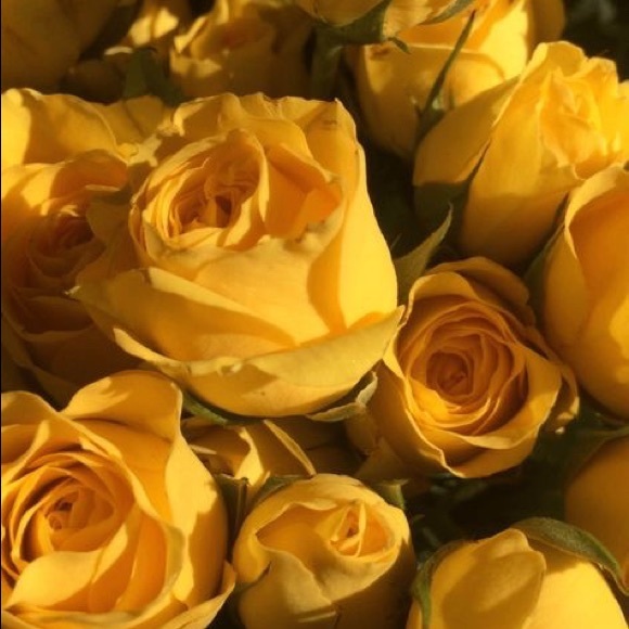 Profile Picture of Mia Nagai (@mia_nagai) on Poshmark