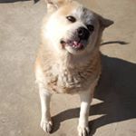 Profile Picture of Michael (@gazzola.michael) on Instagram