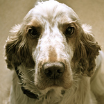 Profile Picture of Megan Fowler (@meganfowler19) on Flickr