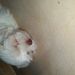 Profile Picture of Barbara Capellan (@barbaracapellan) on Pinterest