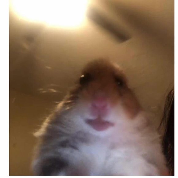 Profile Picture of Amancio Notyourproblem (@tf_hithere) on Poshmark