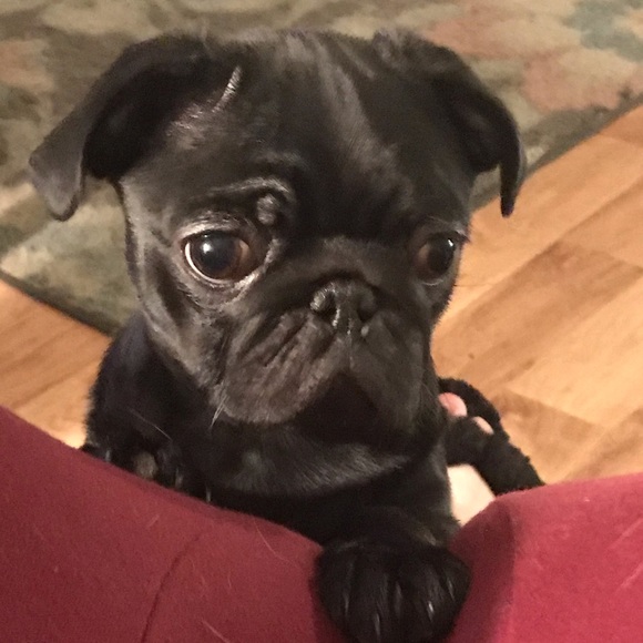 Profile Picture of Renee Cozzy (@reneecozzy) on Poshmark