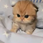 Profile Picture of Cinthia Lucas (@cinthia.lucas.399) on Facebook