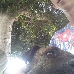 Profile Picture of Giovanni Fazio (@GiovanniFazio13) on Twitter