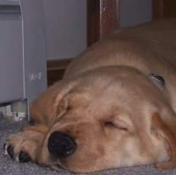 Profile Picture of Rob Himmelman (@rob.himmelman) on Facebook