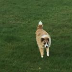 Profile Picture of Katelyn Duffy 🌸 (@katelyn_duffy_) on Instagram