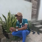 Profile Picture of Alkado Paulo (@Alkado-Paulo) on Facebook