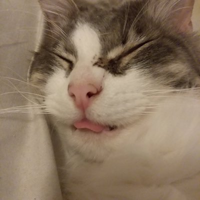 Profile Picture of SpookyYeets (@ArielKeyRamos) on Twitter