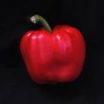 Profile Picture of Caleb Bain (@caleb.bain05) on Instagram