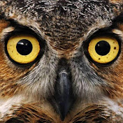 Profile Picture of Lan Kieu (@lankieu987) on Youtube