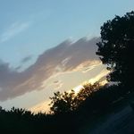 Profile Picture of Savannah Arnold (@savannah.arnold.984) on Instagram