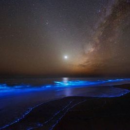 Profile Picture of Tyler Treadwell (@Tread32Tyler) on Twitter