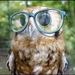 Profile Picture of Daniel Schneider (@don_lollie) on Pinterest