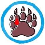 Profile Picture of David N. Pedroso (@diabeticotipourso) on Instagram