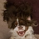 Profile Picture of Glenn Moore (@glenn.moore.98871174) on Instagram