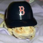 Profile Picture of Kathi Horton (@kathihorton) on Instagram