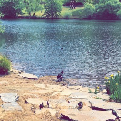 Varun Monga - Twitter Profile Picture of Varun Monga (@monga_vm) on Twitter