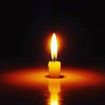 Profile Picture of Алексей Ким (@alexd_reamer) on Instagram