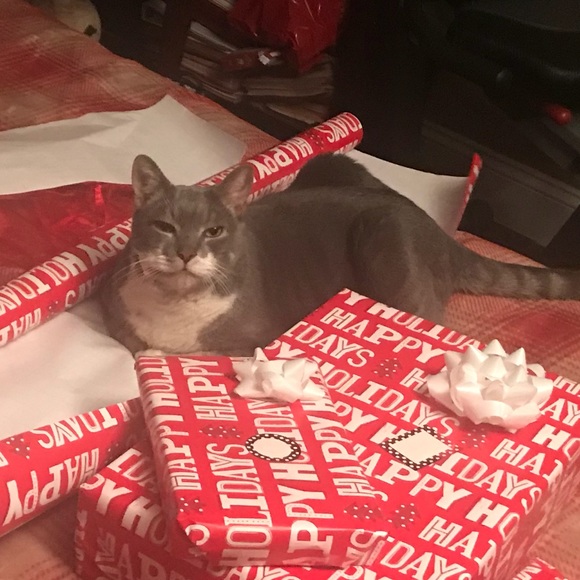 Profile Picture of Vanna Mavromatis (@vannamav) on Poshmark