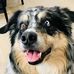 Profile Picture of Dave Myslinski (@dave.myslinski.7) on Facebook