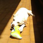 Profile Picture of Anna (@anna.giacopinelli) on Instagram