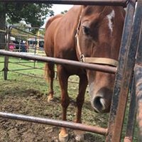 Profile Picture of Jacob Voyles (@jacob-voyles-1) on Quora