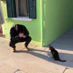 Profile Picture of Daniel Botelho (@dan_gogh) on Instagram