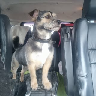 Profile Picture of Gavin Pemberton (@bart_pemberton) on Instagram