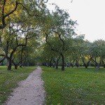 Profile Picture of Spinosa (@spinosajamesonp) on Instagram