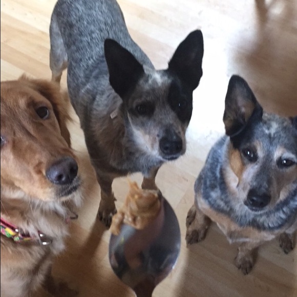 Tais Bindler - Poshmark Profile Picture of Tais Bindler (@bindler21) on Poshmark