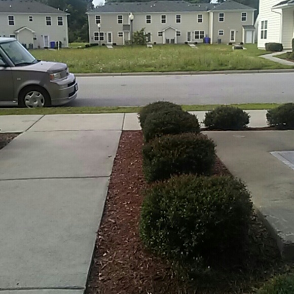 Renee Harper - Poshmark Profile Picture of Renee Harper (@naypooh1986) on Poshmark