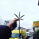 Profile Picture of Sergio ronchel (@sergiosalas02) on Instagram