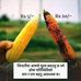 Profile Picture of Bhaila Bhaila (@bhaila.bhaila.188) on Facebook