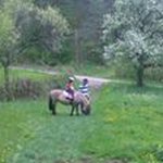 Profile Picture of Thomas Bross (@thomasbross) on Instagram