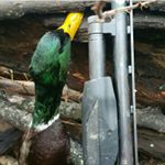 Profile Picture of Michael blair (@michael_blair24) on Instagram