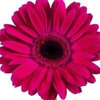 Profile Picture of Chris Bushnell (@chris-bushnell-6) on Quora
