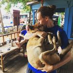 Profile Picture of Joe Pye (@joe_pye_) on Instagram