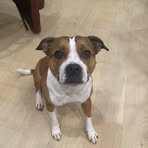 Profile Picture of Jasbir Rai (@Jasbir-Rai) on Facebook