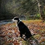 Profile Picture of David Reid (@david.a.reid) on Instagram