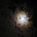 Profile Picture of David Everts (@balls2859) on Pinterest